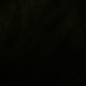 Meet your Posher, Bridget